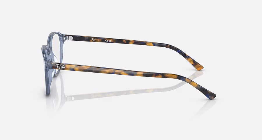LEONARD OPTICS