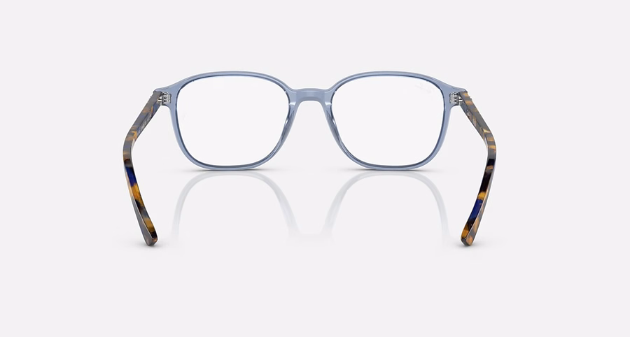LEONARD OPTICS