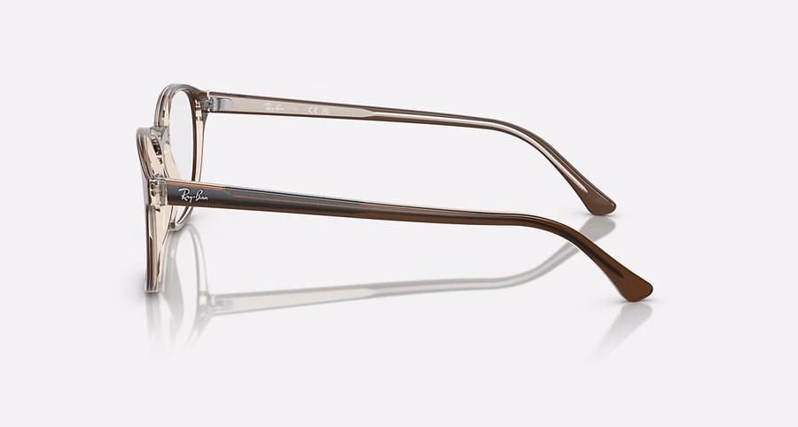 RB5417 OPTIK