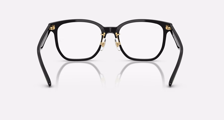 RB5425D OPTIK JAHR DER SCHLANGE EDITION