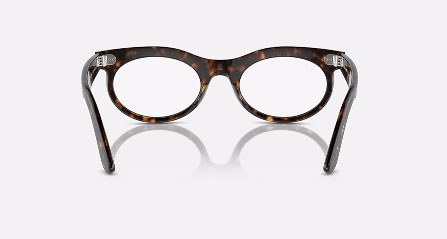 WAYFARER OVAL TRANSITIONSu00ae